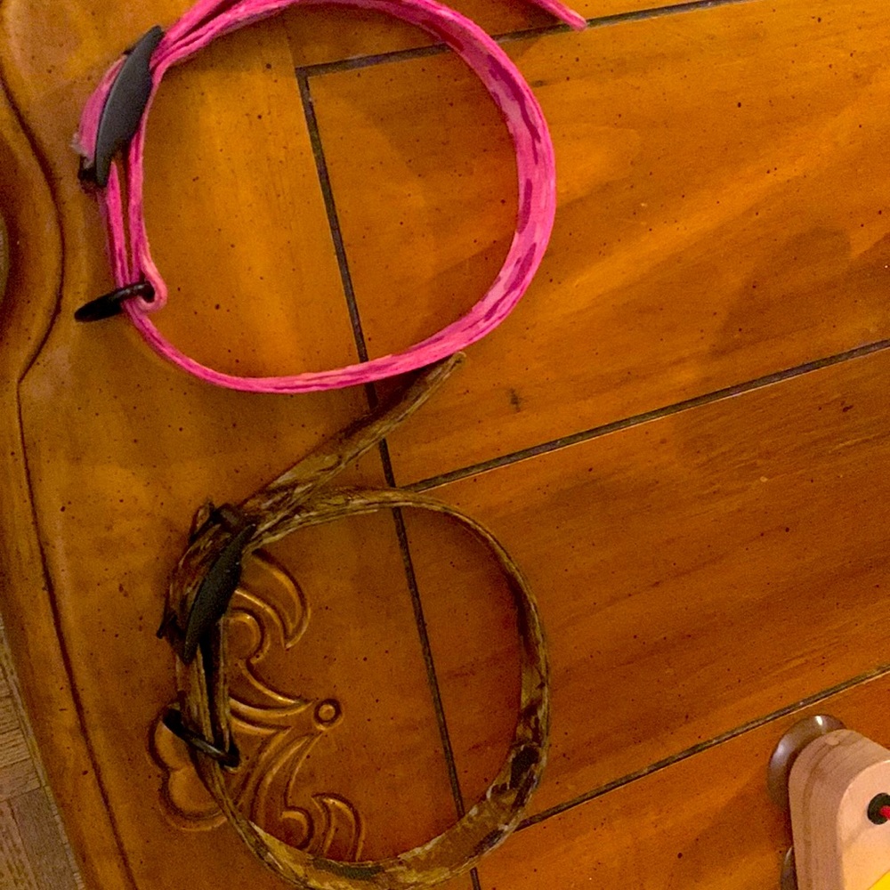2 dog collars
